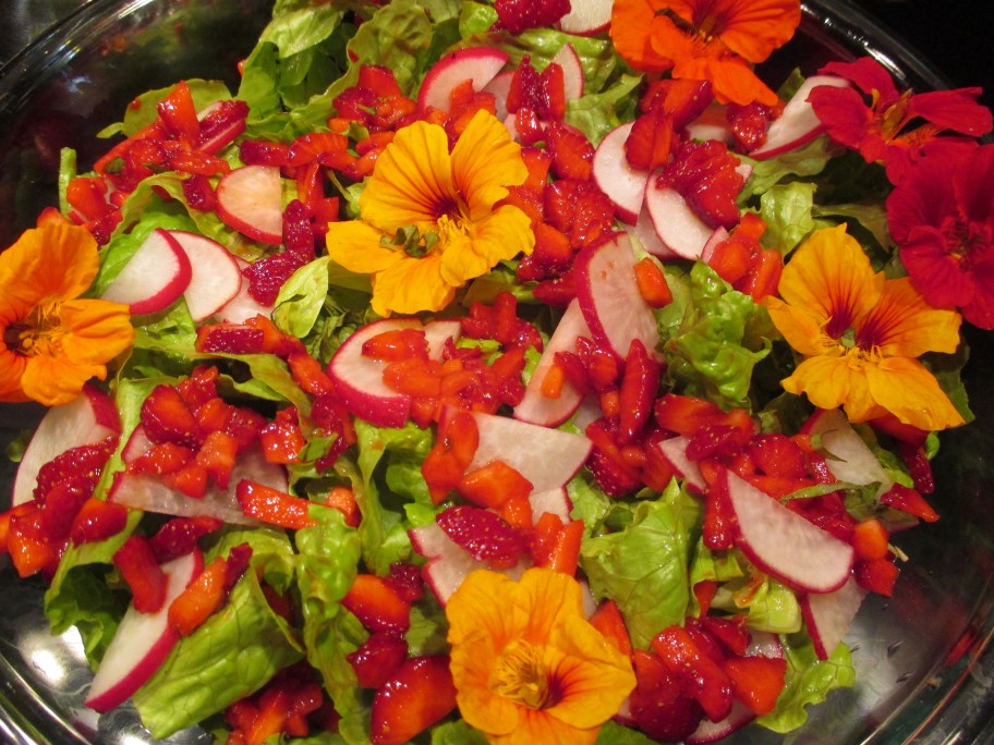 nasturtium salad