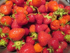 strawberries