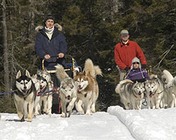 Dog-Sledding