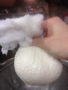 Draining the Curd - Making Cheese.