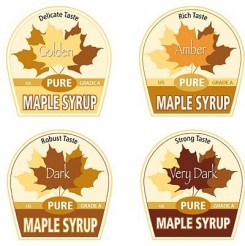 maple-syrup-grades-2014-vermont