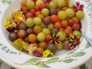 Fresh tomatoes from Anjali Farms during Vermont Farm Trail's 2011 Dinner