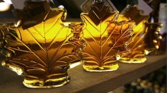 vermont-maple-leaf-syrup-trip