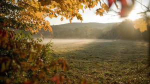 CT Now fall foliage report