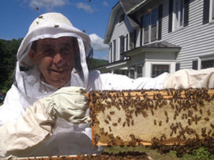 Man in a white bee suite holding a component of the bee hive with bees on it.