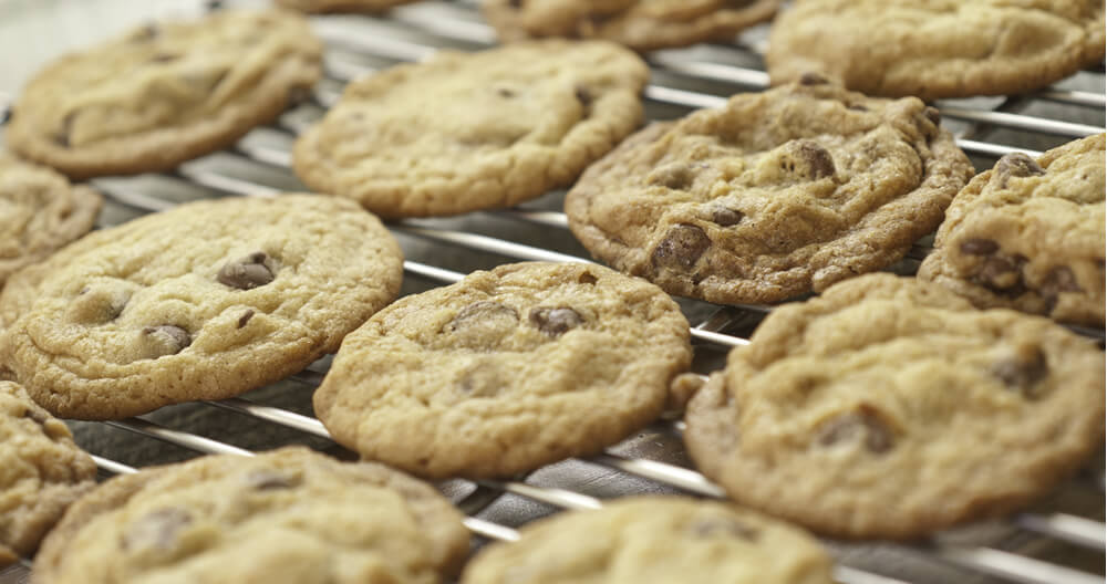 close up of many golden brown chocolate chip cookies lined up on wire cooling rack