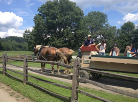 two bridled brown horses with blonde manes and tails pulling painted wagon ride with a family in the wagon all behind a rustic rail fence