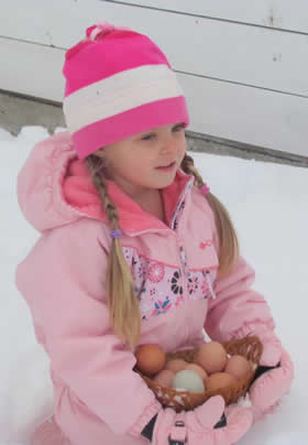 young girl with long braids in pink snowsuit and pink snow hat kneels in the snow holding a basket full of fresh eggs